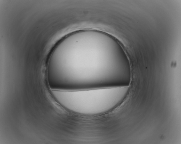 X0000095541507200712141012