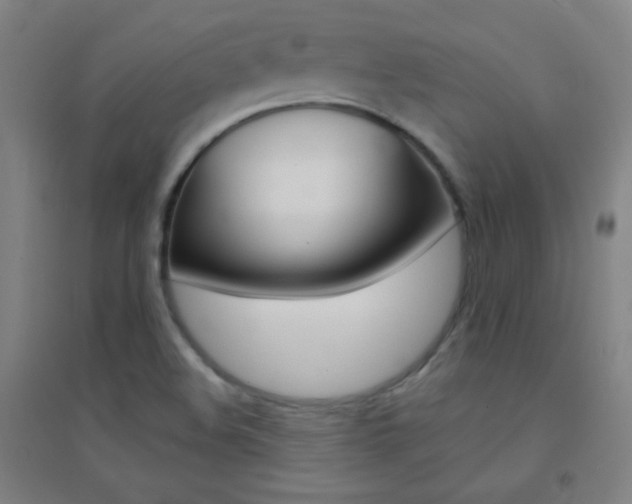 X0000095541508200712141012