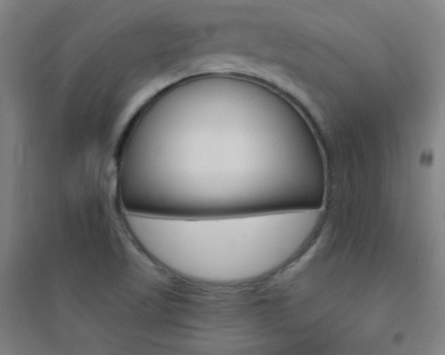 X0000095541509200712141012