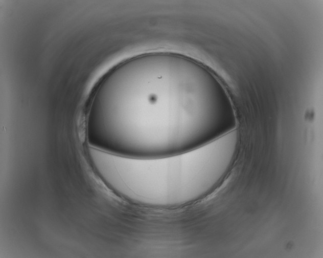 X0000095541510200712141012