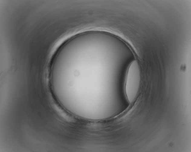 X0000095541511200712141012
