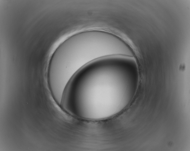 X0000095541512200712141012