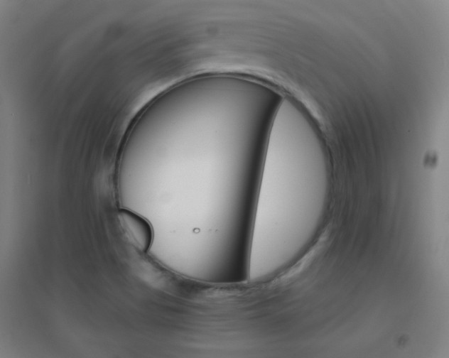 X0000095541513200712141012