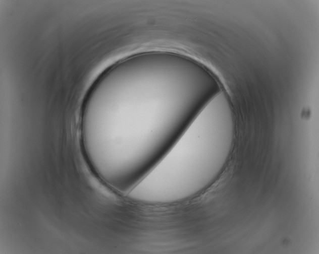 X0000095541515200712141012