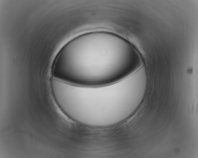 X0000095541516200712141012