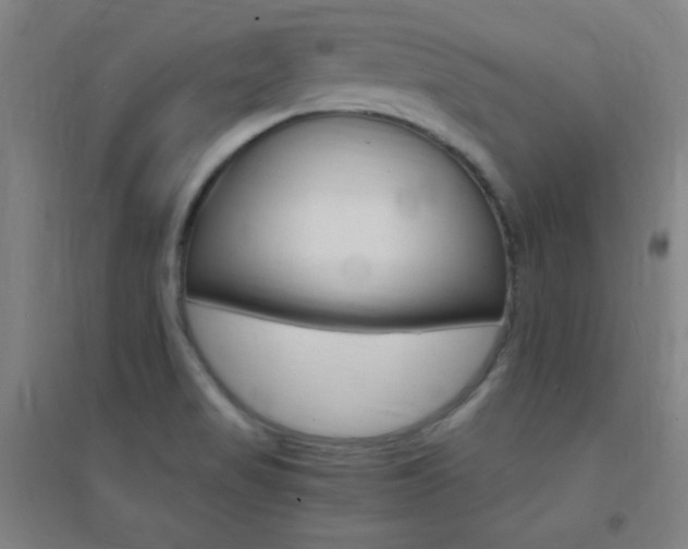 X0000095541517200712141012