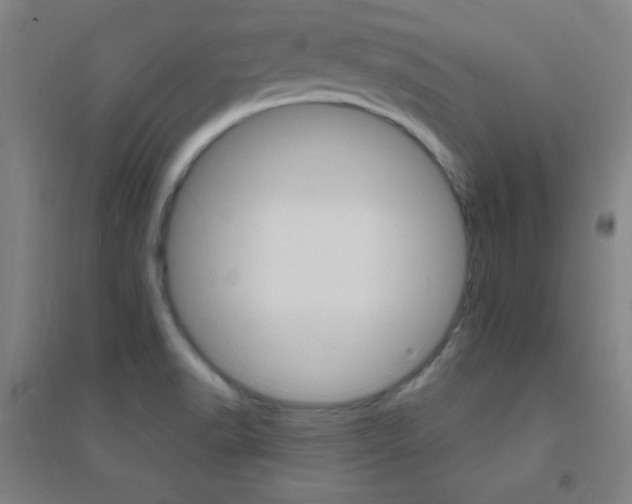 X0000095541518200712141012