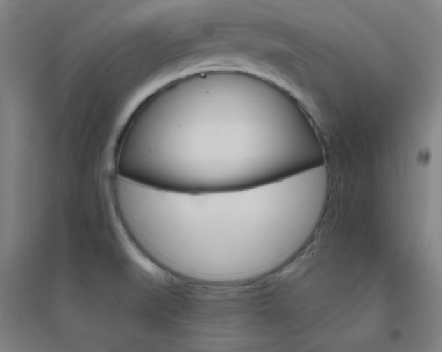 X0000095541519200712141012