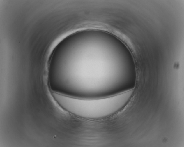 X0000095541520200712141012