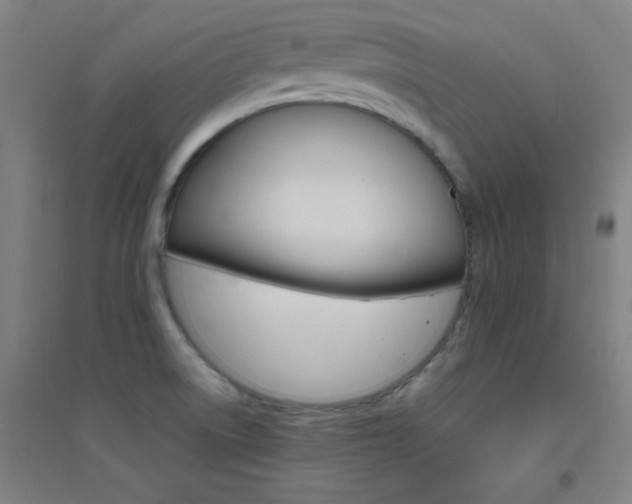 X0000095541522200712141012