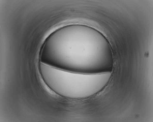 X0000095541523200712141012