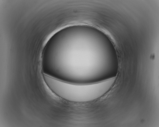 X0000095541524200712141012