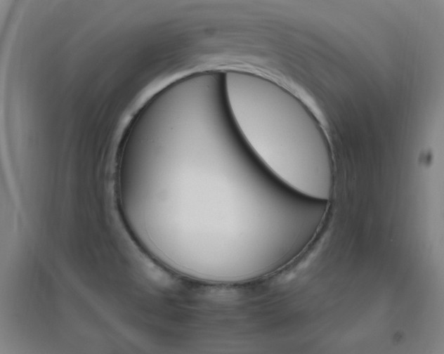 X0000095541525200712141012