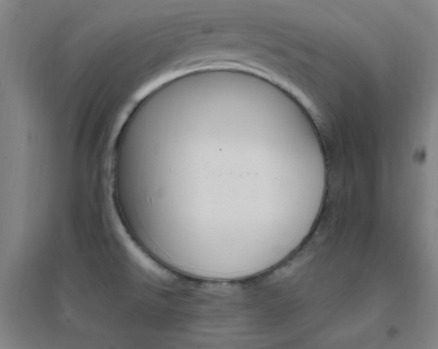 X0000095541526200712141012