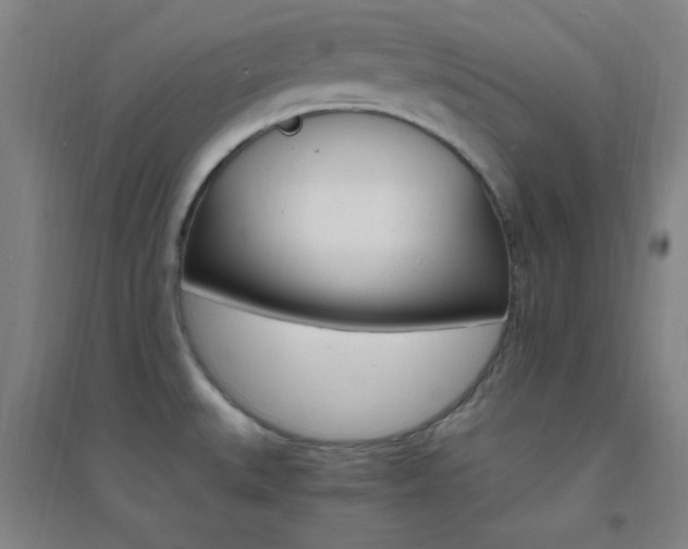 X0000095541527200712141012