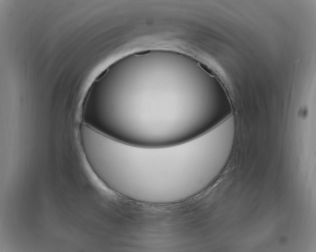 X0000095541528200712141012