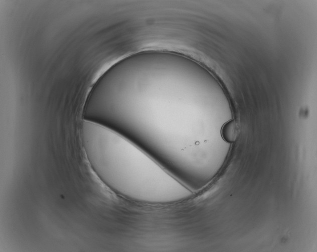 X0000095541529200712141012