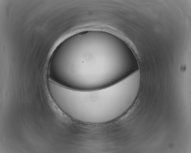 X0000095541530200712141012
