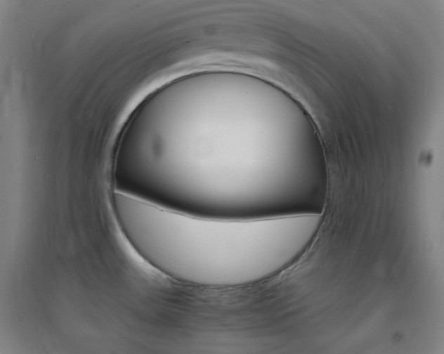 X0000095541531200712141012