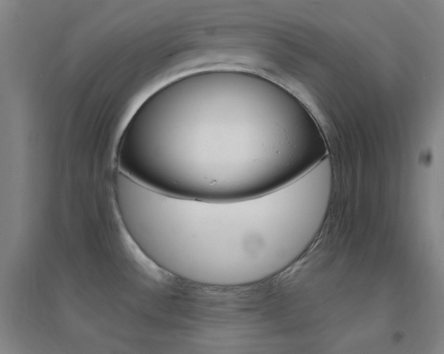 X0000095541532200712141012