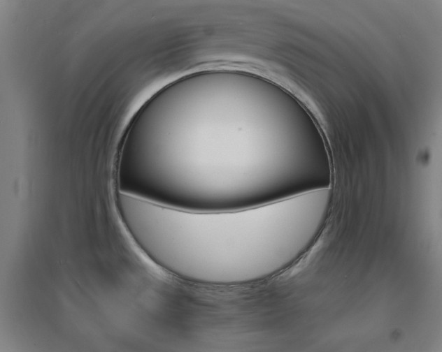 X0000095541533200712141012