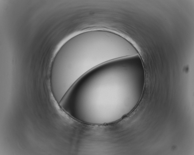 X0000095541534200712141012
