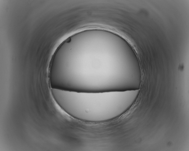 X0000095541535200712141012