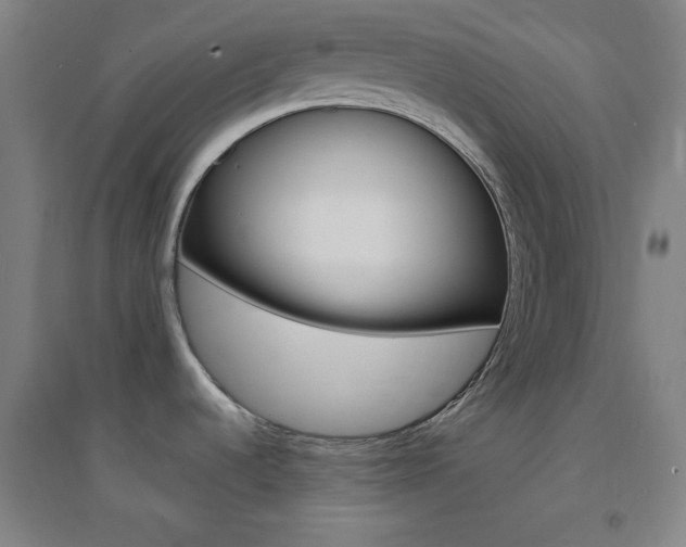 X0000095541536200712141012