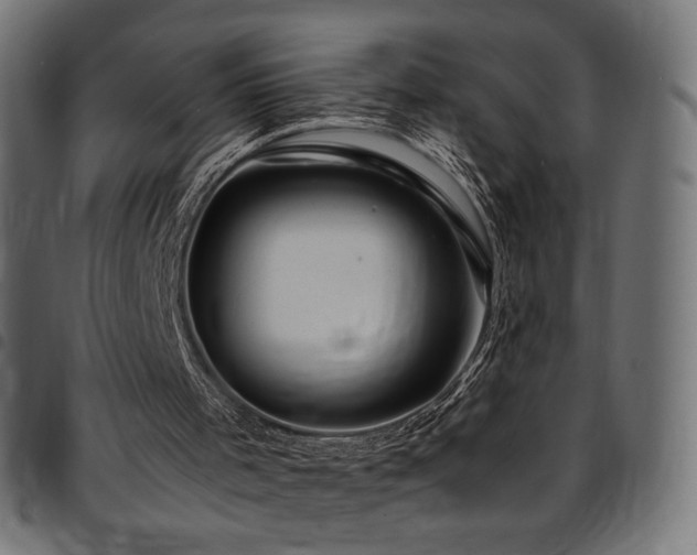 X0000095540001200712141535