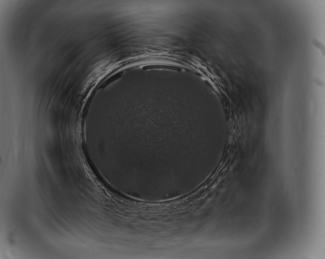 X0000095540002200712141535