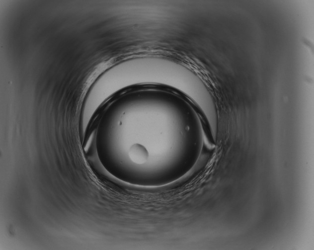 X0000095540003200712141535