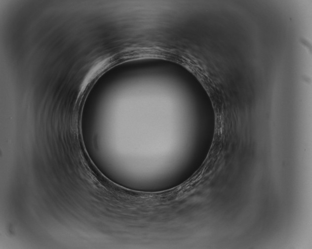 X0000095540004200712141535