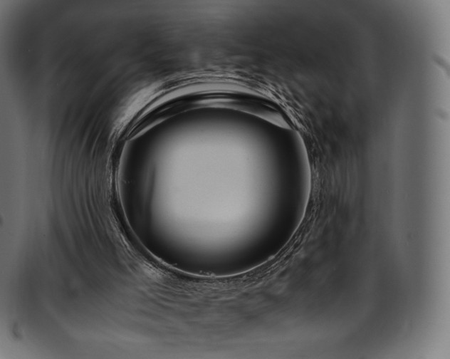 X0000095540005200712141535