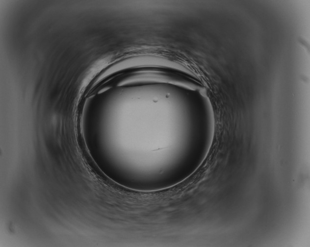 X0000095540006200712141535