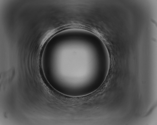 X0000095540007200712141535