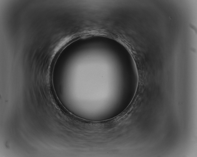 X0000095540008200712141535