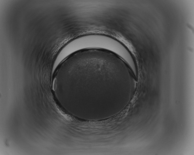 X0000095540009200712141534