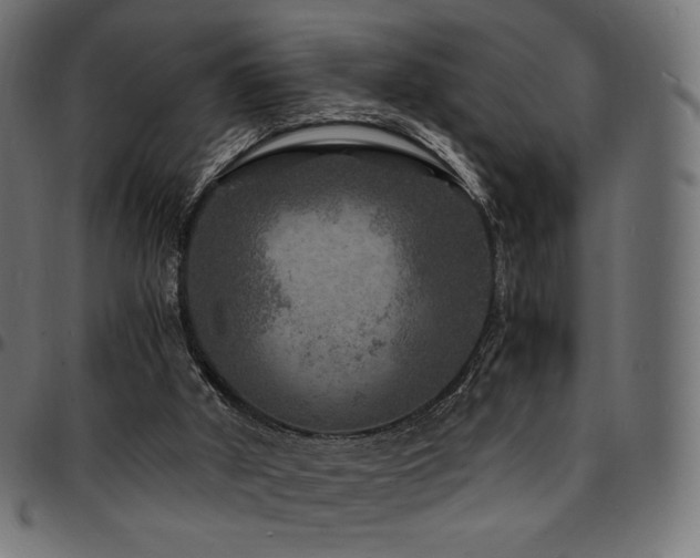 X0000095540010200712141534