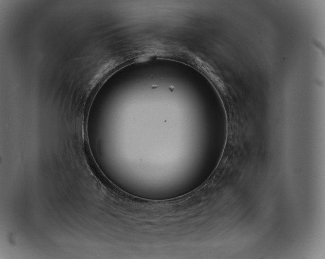 X0000095540011200712141534