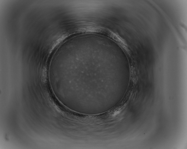 X0000095540012200712141534