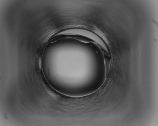 X0000095540013200712141534