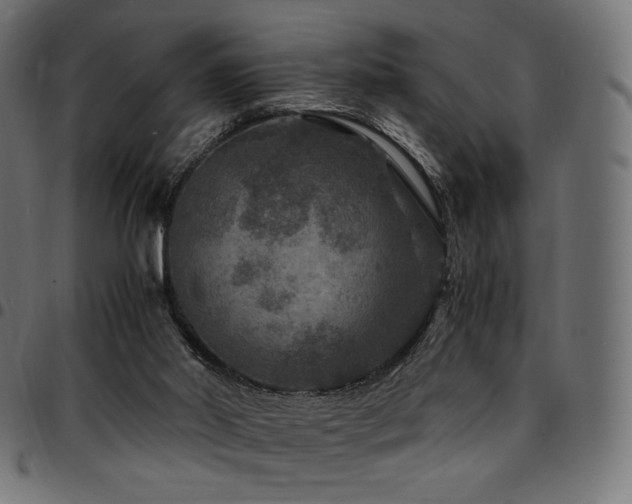 X0000095540014200712141534