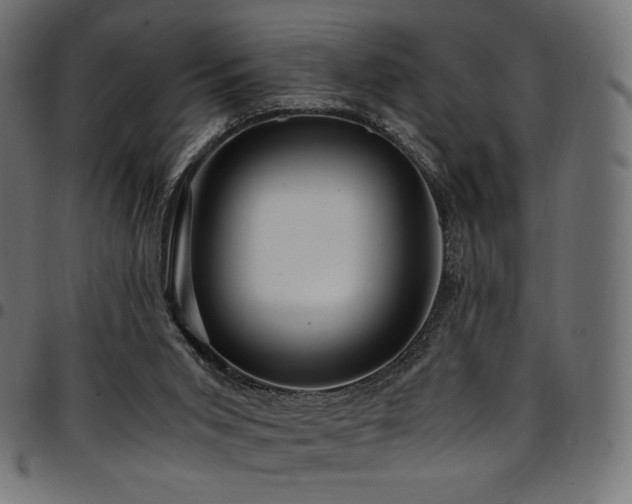 X0000095540015200712141534