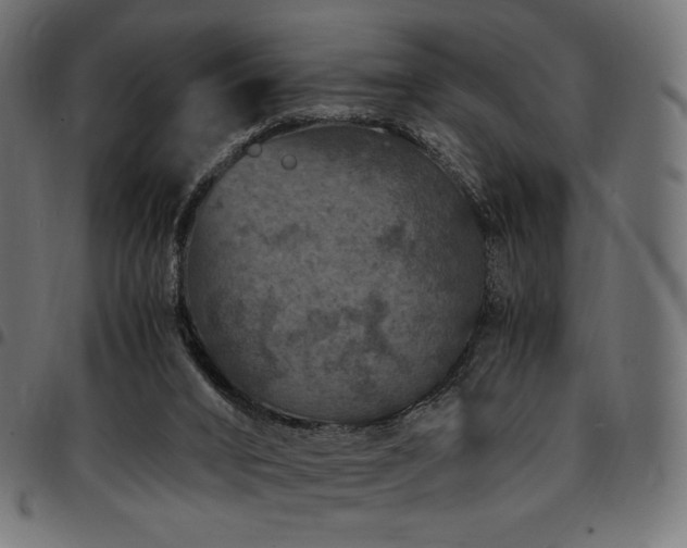 X0000095540016200712141534