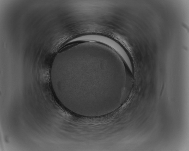 X0000095540017200712141534