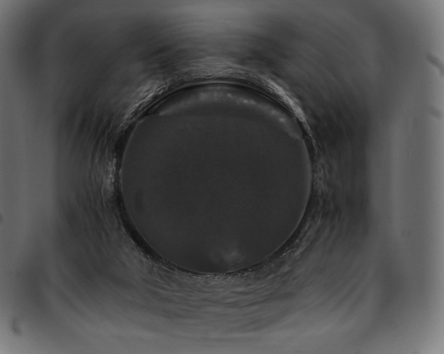 X0000095540018200712141534