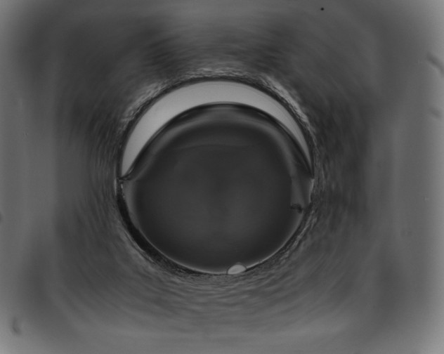 X0000095540019200712141534