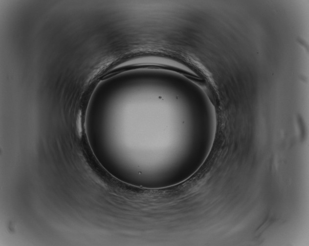 X0000095540020200712141534