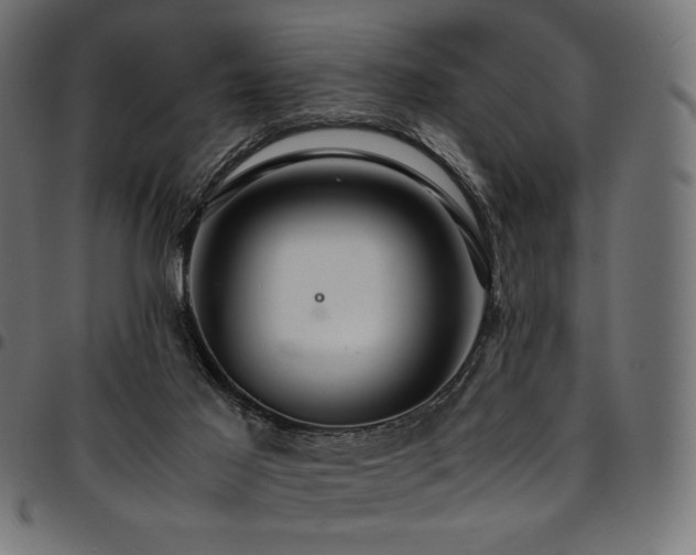 X0000095540021200712141534