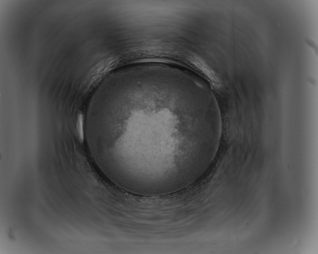 X0000095540022200712141534